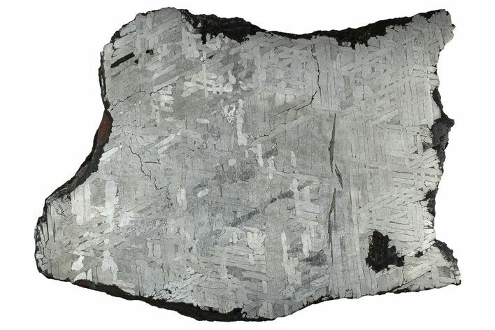 Etched Toluca Iron Meteorite ( g) Slice - Mexico #329407